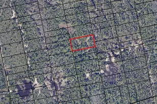 0000 Unknown Rd, Mims, FL 32754 - Photo 1