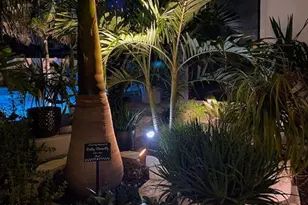 260 Garfield Ave, Cocoa Beach, FL 32931 - Photo 71