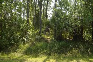 417 Wiltshire Ave SW, Palm Bay, FL 32908 - Photo 1