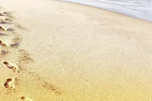 919 Dogwood Dr, Barefoot Bay, FL 32976 - Photo 57