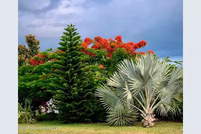 919 Dogwood Drive, Barefoot Bay, FL 32976 - Photo 61