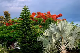 919 Dogwood Dr, Barefoot Bay, FL 32976 - Photo 61