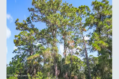 491 Fairbanks Street, Palm Bay, FL 32908 - Photo 9