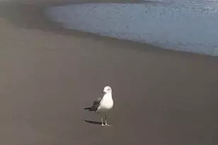 610 Jefferson Ave, Cape Canaveral, FL 32920 - Photo 17