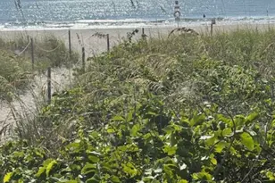 610 Jefferson Ave, Cape Canaveral, FL 32920 - Photo 15