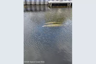 2245 Chevalier Place, Merritt Island, FL 32952 - Photo 43