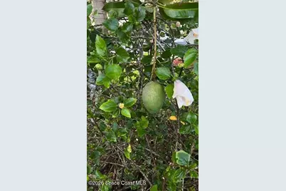 3403 Cloudberry Place, Melbourne, FL 32940 - Photo 35