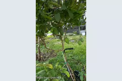 3403 Cloudberry Place, Melbourne, FL 32940 - Photo 31