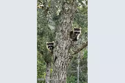 32801 US Highway 441 N #Lot 9, Okeechobee, FL 34972 - Photo 73