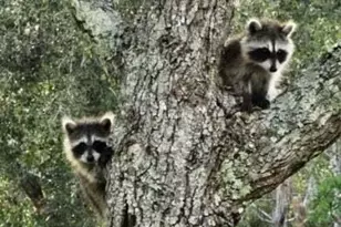 32801 US Highway 441 N, Okeechobee, FL 34972 - Photo 73