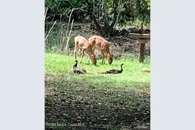 32801 US Highway 441 N #Lot 9, Okeechobee, FL 34972 - Photo 61