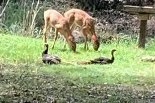 32801 US Highway 441 N, Okeechobee, FL 34972 - Photo 61