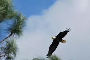 32801 US Highway 441 N, Okeechobee, FL 34972 - Photo 69