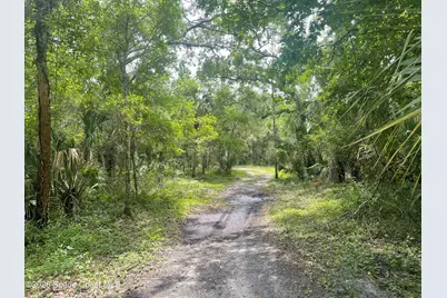 0 Harrison Road, Mims, FL 32754 - Photo 3