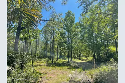 0 Harrison Road, Mims, FL 32754 - Photo 1