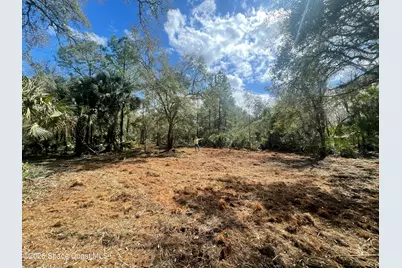 0 Harrison Road, Mims, FL 32754 - Photo 5