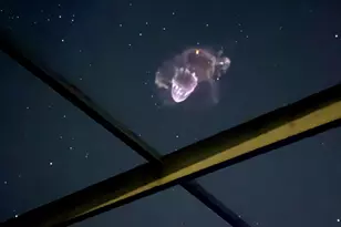 3941 Tangle Dr, Titusville, FL 32796 - Photo 39