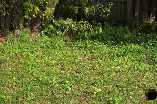 1706 Charleston Ln, Saint Cloud, FL 34769 - Photo 37