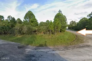 3197 Corner Lot On Frantz Ave SW, Palm Bay, FL 32908 - Photo 1