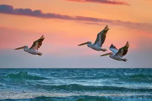 397 Harbor Dr, Cape Canaveral, FL 32920 - Photo 73