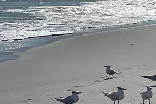 763 Simeon Dr, Satellite Beach, FL 32937 - Photo 45