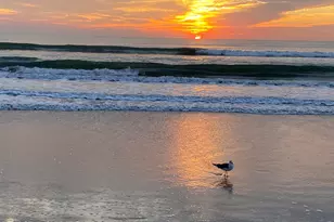 3210 N Harbor City Blvd, Melbourne, FL 32935 - Photo 27