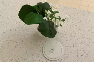 164 Ocean View Ln, Indialantic, FL 32903 - Photo 15