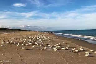 2796 Glory Cir, Melbourne Beach, FL 32951 - Photo 41