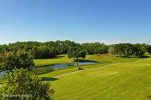 3555 Clay Brick Rd, Saint Cloud, FL 34773 - Photo 49