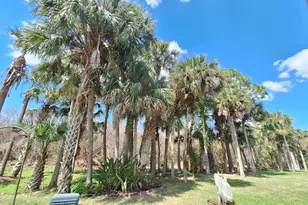 662 Plantation Dr, Titusville, FL 32780 - Photo 49