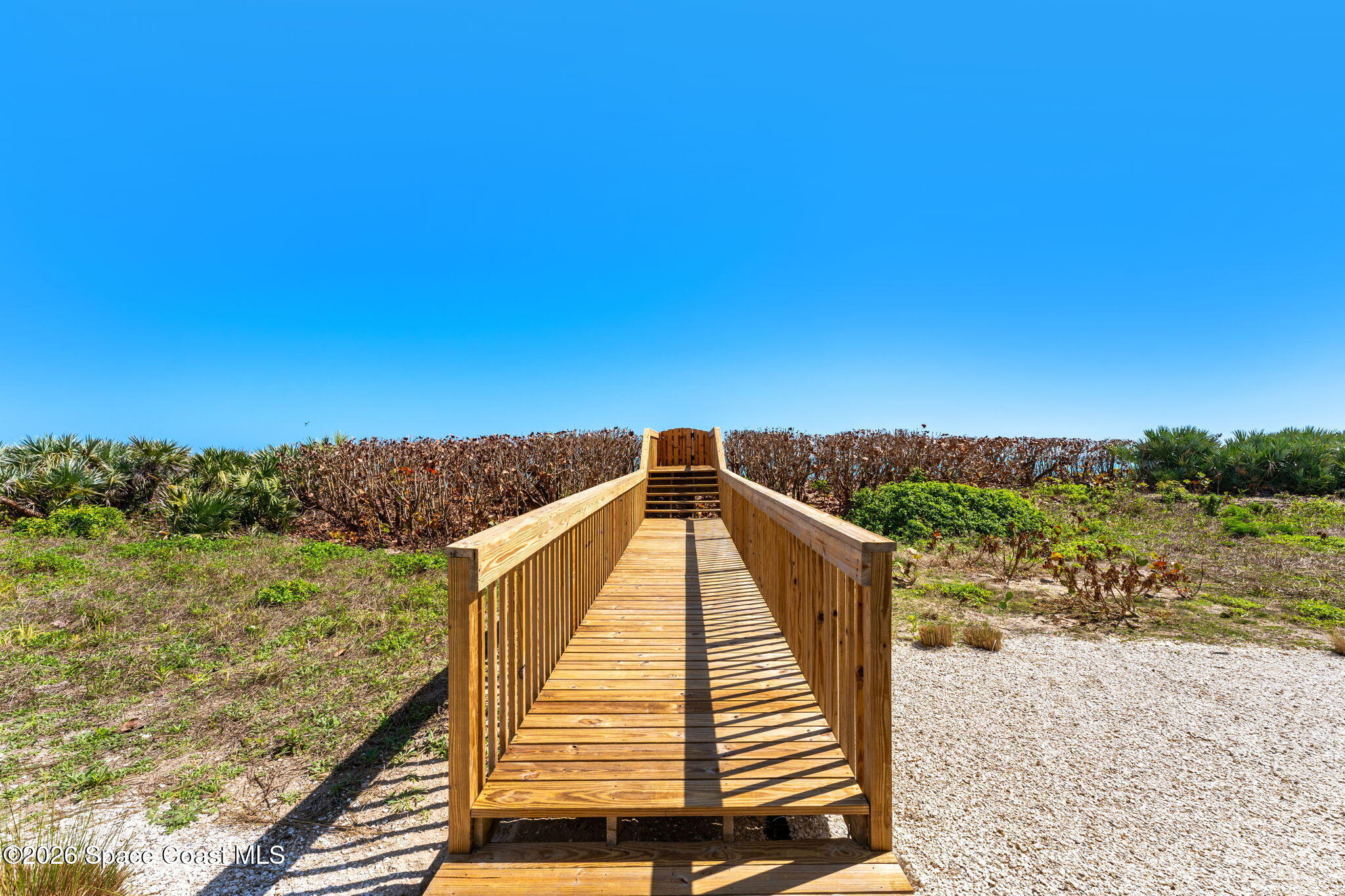 Wooden dune crossover leading through the sea oats to the beach