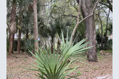 0 Grapefruit Road SE, Palm Bay, FL 32909 - Photo 1