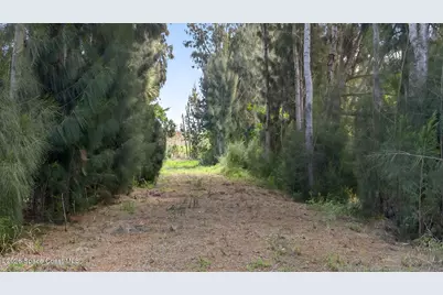 5590 Joseph Court, Merritt Island, FL 32953 - Photo 33