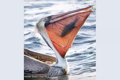 1710 Mahogany Court NW, Melbourne, FL 32907 - Photo 21