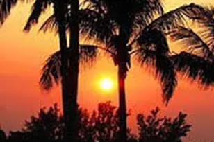 1710 Mahogany Ct NW, Melbourne, FL 32907 - Photo 23