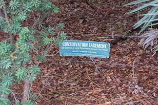 1540 Corbett Ln, Melbourne, FL 32904 - Photo 25