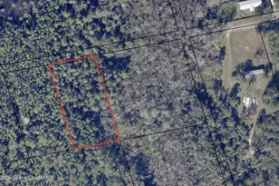 0 N Access, Mims, FL 32754 - Photo 1