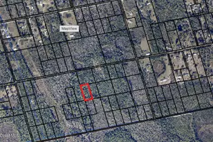 0 N Access, Mims, FL 32754 - Photo 1