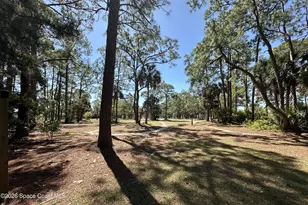 816 Angela Ave, Rockledge, FL 32955 - Photo 31