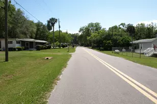 130 Palm Dr, Georgetown, FL 32139 - Photo 23