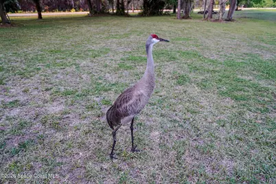1265 Pine Island Road, Merritt Island, FL 32953 - Photo 21