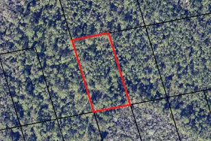 0 N Access, Mims, FL 32754 - Photo 1