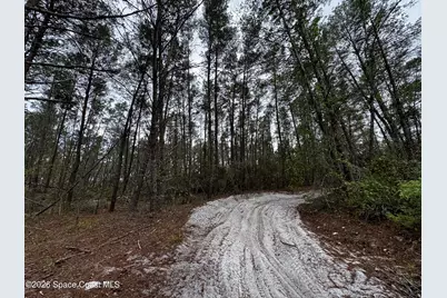 4550 Wellington Lane, Mims, FL 32754 - Photo 13