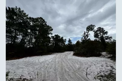 4550 Wellington Lane, Mims, FL 32754 - Photo 9