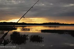 3320 Cordgrass Pl, Harmony, FL 34773 - Photo 39