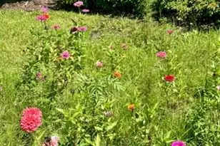 92 Jetty Ln, Sebastian, FL 32958 - Photo 7