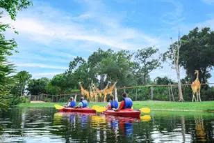 3165 South St, Titusville, FL 32780 - Photo 27