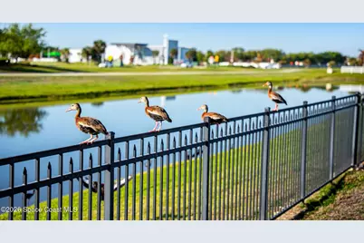 3162 Siderwheel Drive, Rockledge, FL 32955 - Photo 31