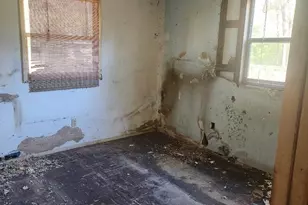 3607 S Lakewood Dr, Tallahassee, FL 32303 - Photo 7