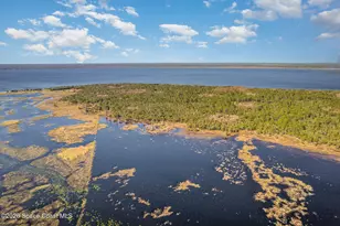 1399 Snapping Turtle Rd, Mims, FL 32754 - Photo 51